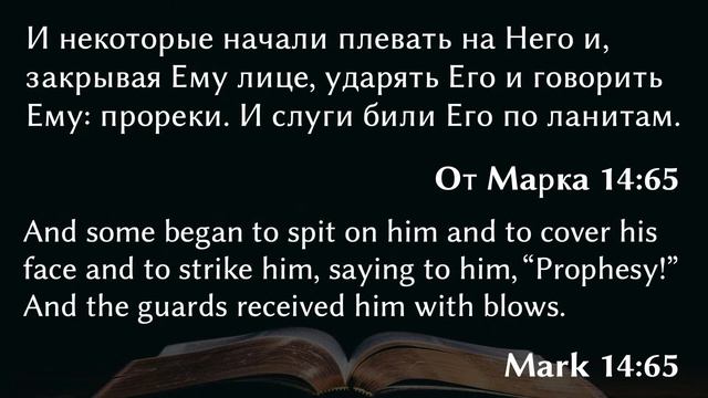 06.30.23 | Solid Foundation Texas Stream смотреть онлайн