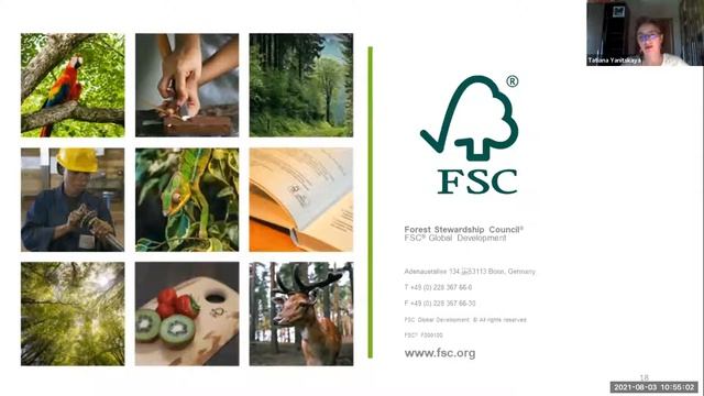 Вебинар для консультантов FSC по новому стандарту смотреть онлайн