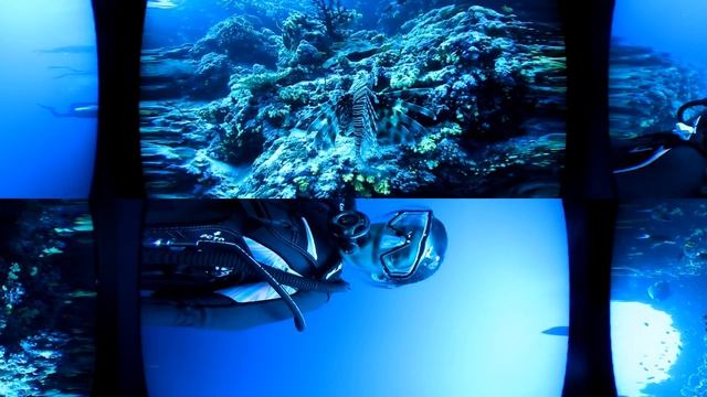 [360 VR] Nikon Keymission 360 Underwater Test no. 2 - 38.5m depth, night dive смотреть онлайн