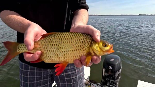 26 октября 2023 г.