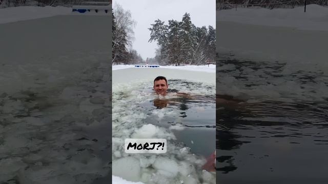 Моржам не холодно! #морж #холод #лед #закаливание #прорубь #окунание #мороз #лед #снег #зима смотреть онлайн