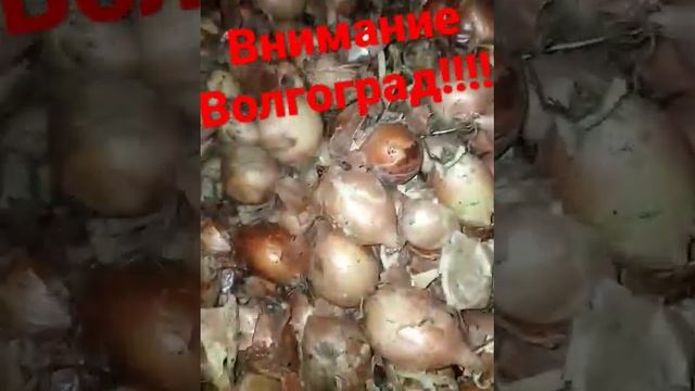 Вниманию!!!!!!! Волгоградская область за посёлком КОМСАМОЛЕЦ!!! ТАК НАЗЫВАЕМЫЙ ПРЕДПРИНИМАТЕЛЬ,1,5 смотреть онлайн