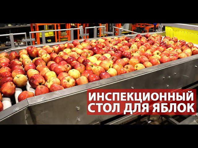 Стол для переборки фруктов (видео) смотреть онлайн