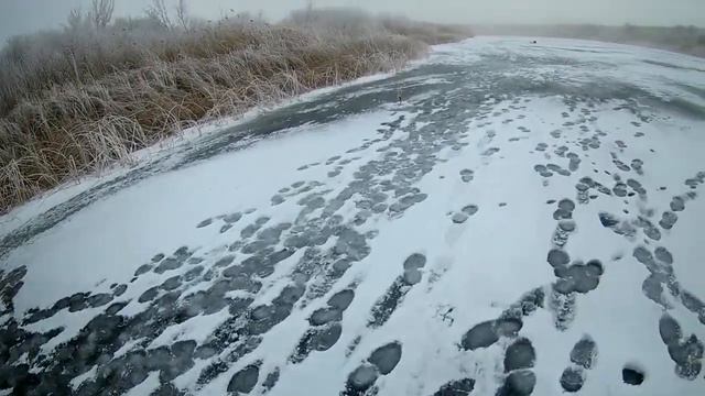 Плотва утащила удочку Жерлица № 1 обзор и в работе.Рыбалка. в поисках зубастой смотреть онлайн