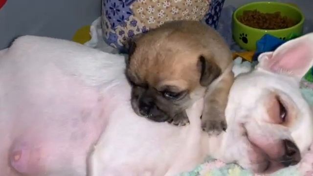 Всем спокойной ночи и самых добрых снов.