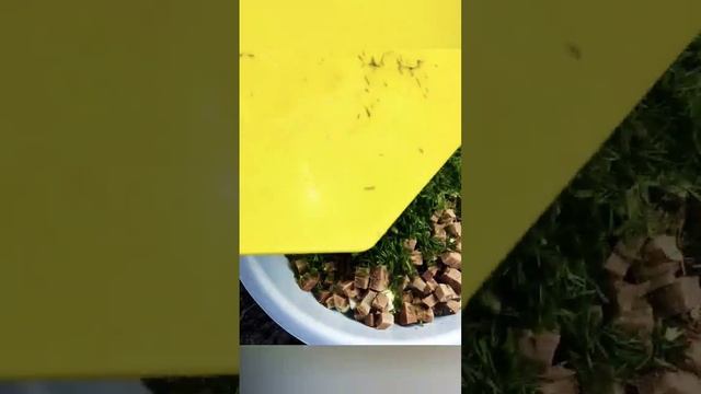 салат с говяжьим языком смотреть онлайн