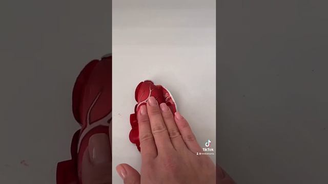 Взорвется ли хлопушка?