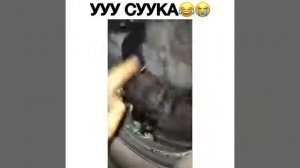 Ууу суука. Лежишь с носком. Иди работай.Чилишься. Капсула с жидким порошком. Стиральная машина.