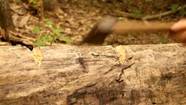 Мясо на деревянной плите - как пожарить мясо без сковородки смотреть онлайн