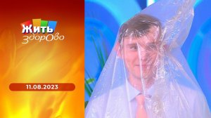 Жить здорово! Выпуск от 11.08.2023