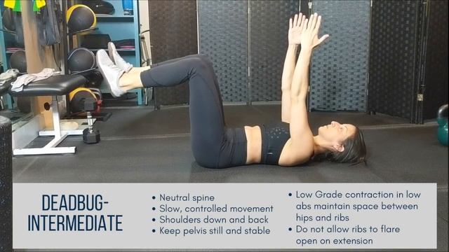 Deadbug Variations for Core Work смотреть онлайн