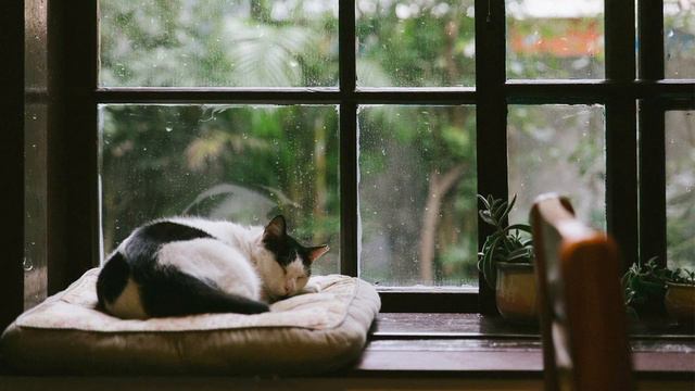 [Piano] Soft and calming piano music and new age music смотреть онлайн