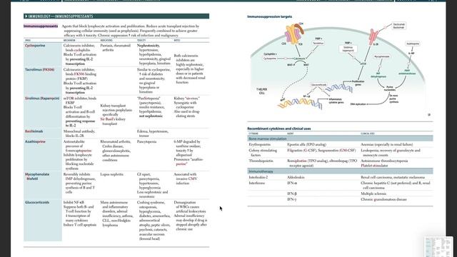 Создание карточек Anki