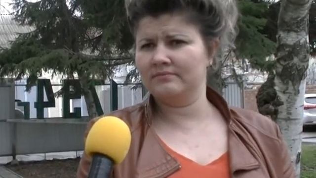 "Собака года" смотреть онлайн