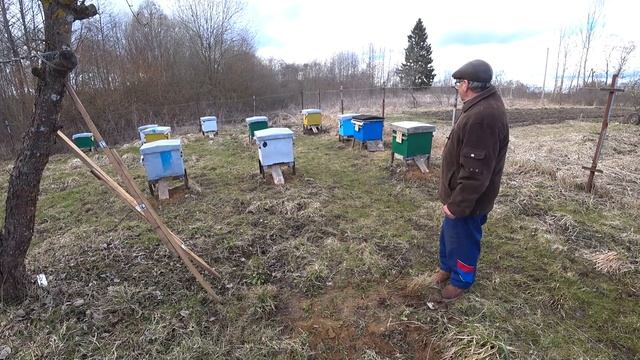 Интересное приспособление для переноски ульев. Переносим улья с пчелосемьями. смотреть онлайн