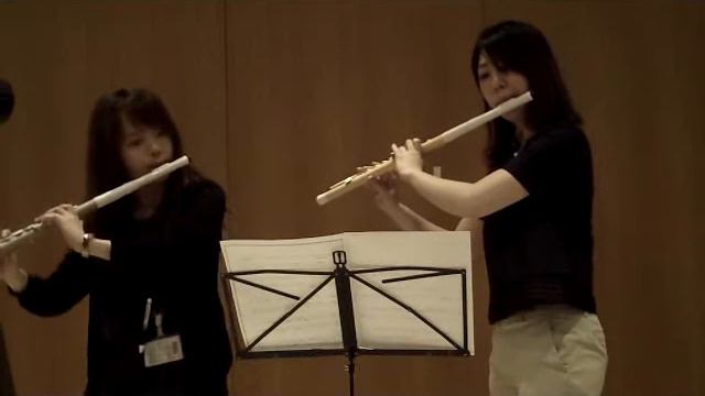 TOCCO FLUTE クラシック演奏 смотреть онлайн