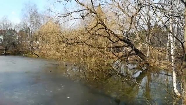 Перед весной бывают дни такие... (А. Ахматова) - Библиотека мкрн. Луговая смотреть онлайн