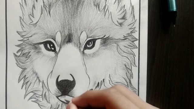 ?Wolf Sketch?| How To Draw A Wolf?|PART-2| #animalsketch смотреть онлайн