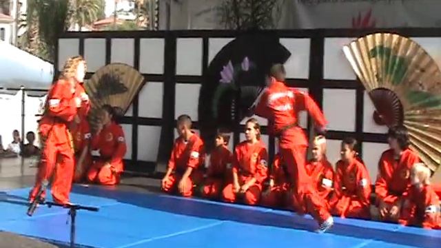 Song's Hapkido Demo смотреть онлайн