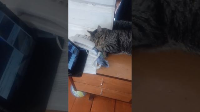 Дела идут контора пишет смотреть онлайн