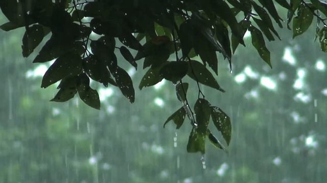 Звуки природы, музыка для медитации, 自然之声, 冥想音乐 Sounds of nature, music for meditation смотреть онлайн