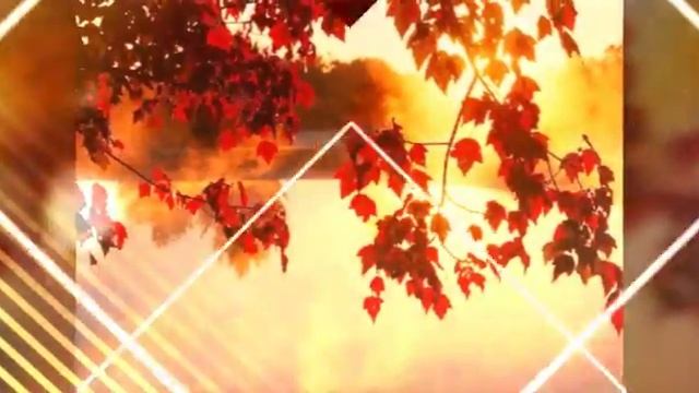 Вот что я сделал в VideoShow Pro, это очень удобная программа!