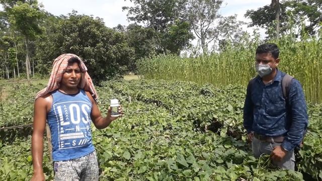 oro agri india (p). ltd.#pointed guard ##orocal##, Farmer experience. смотреть онлайн
