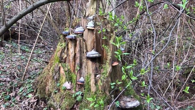 22 апреля 2021 Предчувствие лета смотреть онлайн