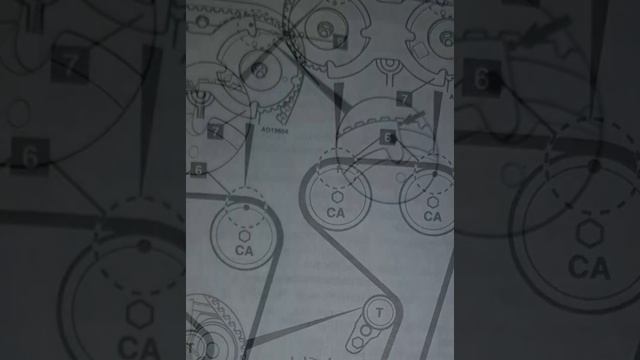 FORD FOCUS 1.6 TI-VCT; FOCUS C-MAX 1.6 TI-VCT УСТАНОВКА ЗАЖИГАНИЯ МЕТКИ ГРМ смотреть онлайн