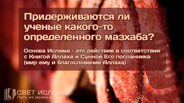 Придерживаются ли ученые какого-то определенного мазхаба? | Салим Абу Умар смотреть онлайн