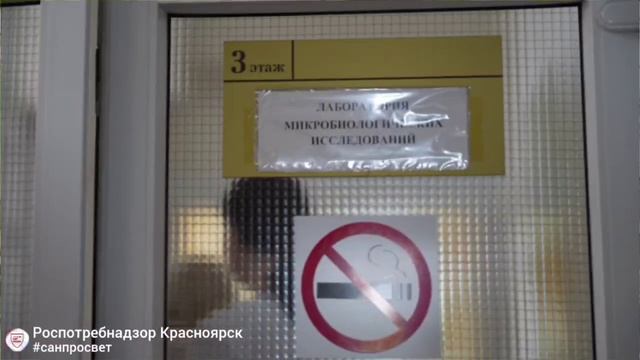 Мойте овощи перед едой смотреть онлайн