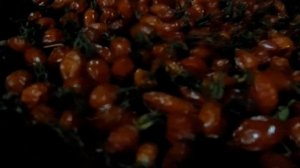 как правильно сушить шиповник на зиму .