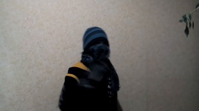 как быть анонимным в интернете смотреть онлайн