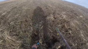 Охота в Крыму на зайца