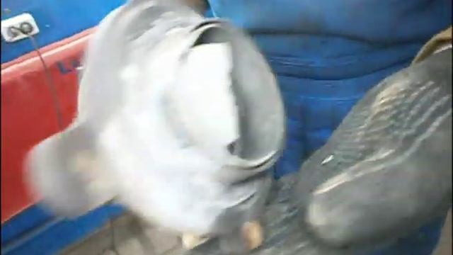 Ремонт катализатора Honda Accord VIII. Москва. смотреть онлайн