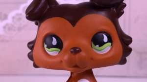 LPS: НОВЫЕ СТОЯЧКИ!? НОВЫЕ КОЛЛИ!? (РАСПАКОВКА #4)