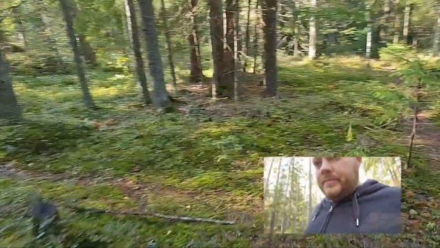 Идём в лес за грибами. Нашли череп коровы. смотреть онлайн