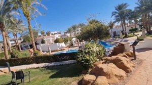 Питание, Обед в Jaz Sharm Dreams Resort 5*. Зима 2022г.