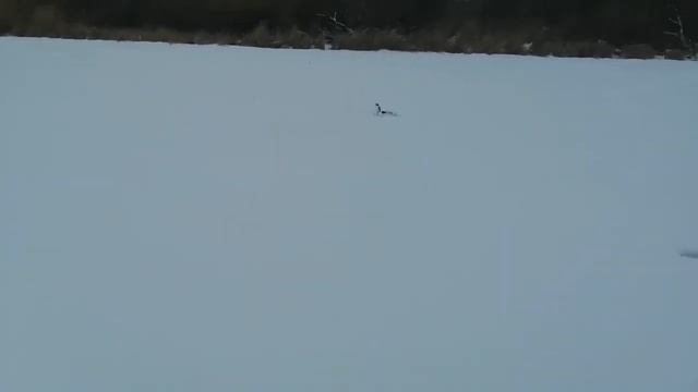 Самодельные аэро сани смотреть онлайн