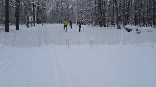Классические лыжи. Тренер бегает лучше Клэбо! смотреть онлайн