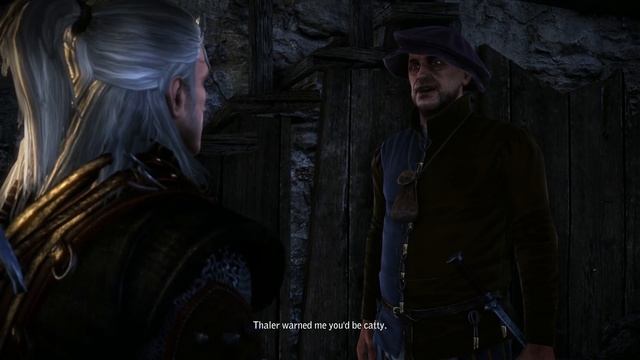 The Witcher Critique - The Beginning of a Monster смотреть онлайн