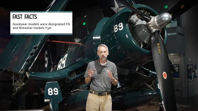 BEST World War II Fighter?  Curator on the Loose!