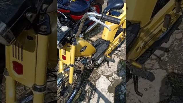 Jual moge yamaha virago intruder800 cb350 homda hela смотреть онлайн