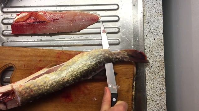 Как сделать из рыбы щуки филе ! Щука - очень вкусная рыба. смотреть онлайн