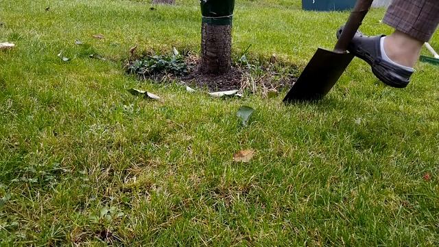 Дача в Германии || начало октября смотреть онлайн