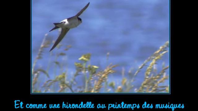 La Langue De Chez Nous