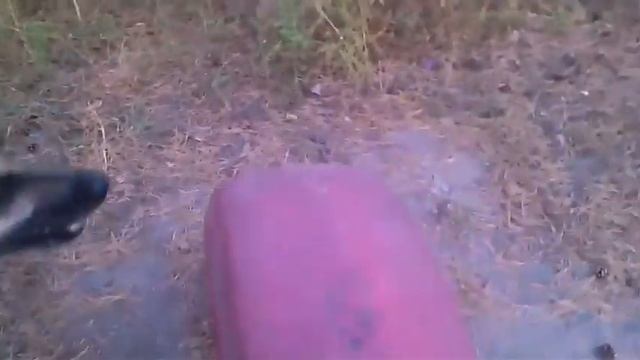 Щенок НЕМЕЦКОЙ ОВЧАРКИ: воспитание, дрессировка. Мокрый нос Бейлис смотреть онлайн