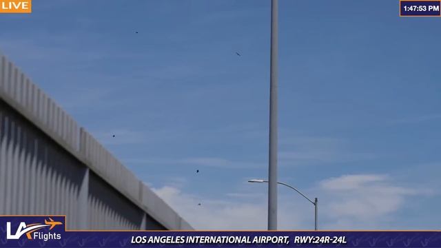 ?LIVE LAX Plane Spotting | Los Angeles International Airport смотреть онлайн
