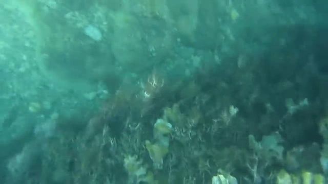 Тест водонепроницаемого чехла Aquabag