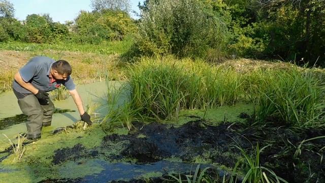 Чистка пруда В САДУ! НАЧАЛО! смотреть онлайн